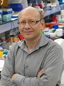 Dmitri Simberg, PhD, University of Colorado Cancer Center