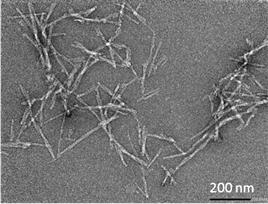 Fibrils from alpha-synuclein