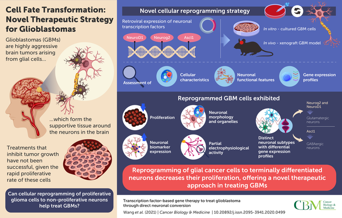 Transcription factor-based gene therapy to treat glioblastoma through direct neuronal conversion