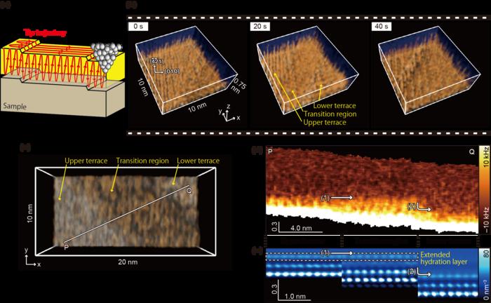 Fig. 1: High-speed 3D-SFM imaging