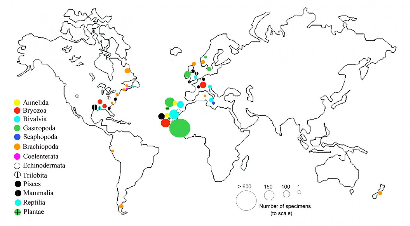 Lyell Collection Specimens, Origin