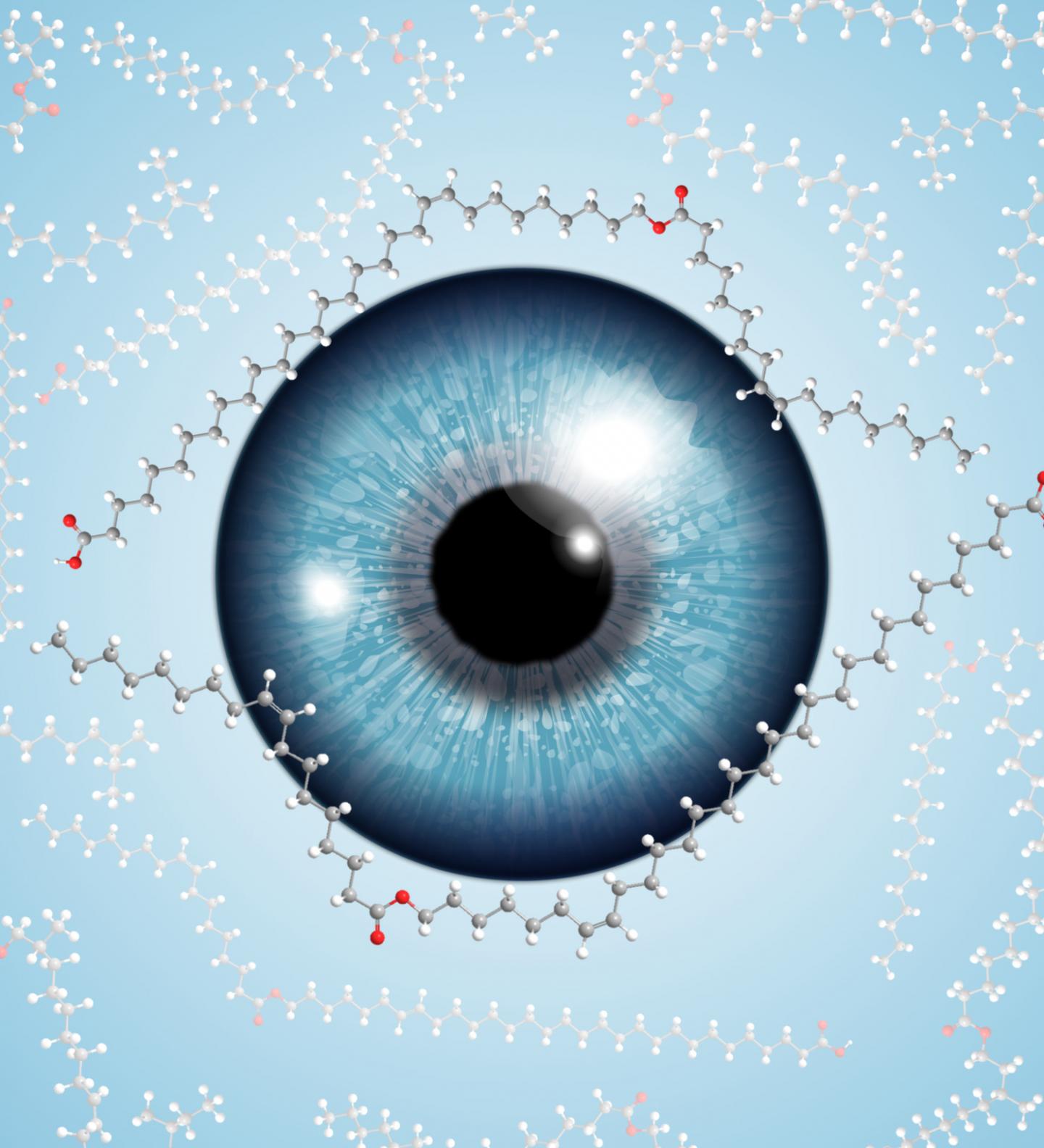 Scientists Determine Structure of a Lipid that Keeps our Eyes Clear