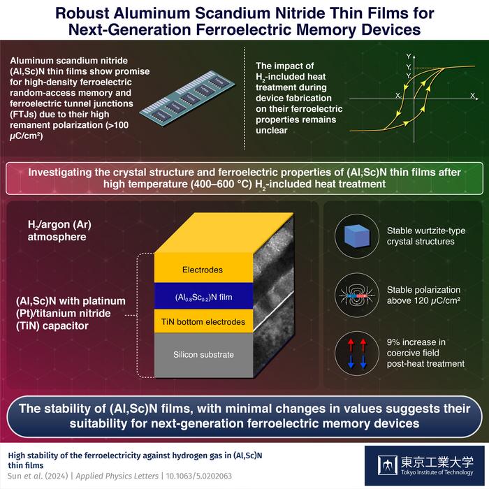 Robust Aluminum Scandium Nitride Thin Films for Next-Generation Ferroelectric Memory Devices