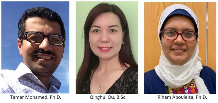 Mohamed, Ou and Abouleisa