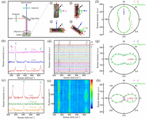 Scientists Develop Colossal 3D Electrical Anisotropy of MoAlB Single Crystal