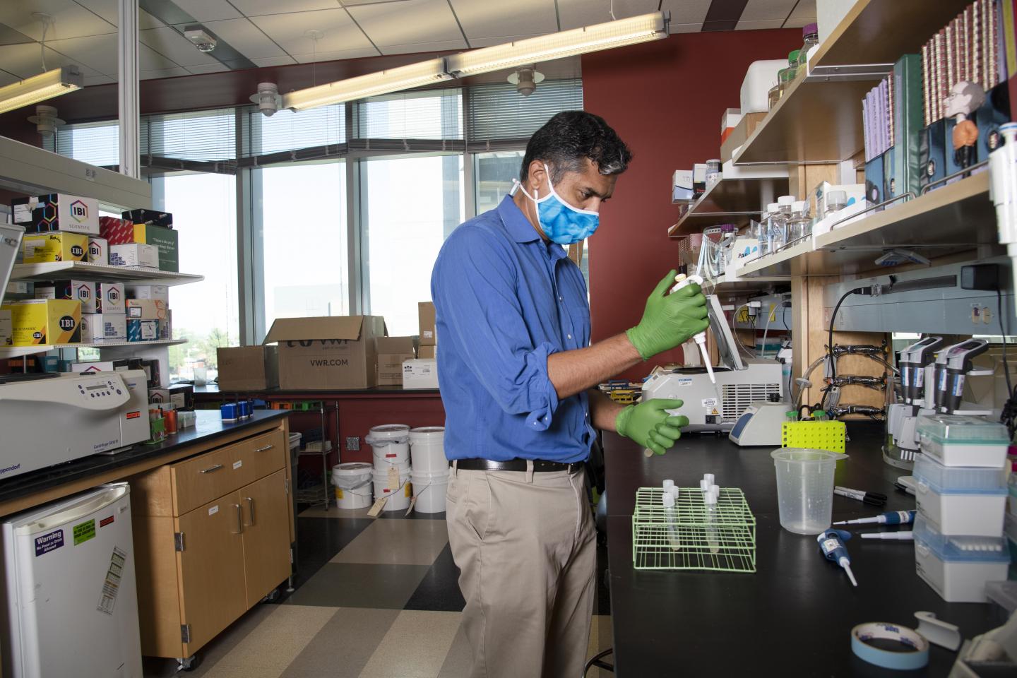 Deepta Bhattacharya, University of Arizona Health Sciences