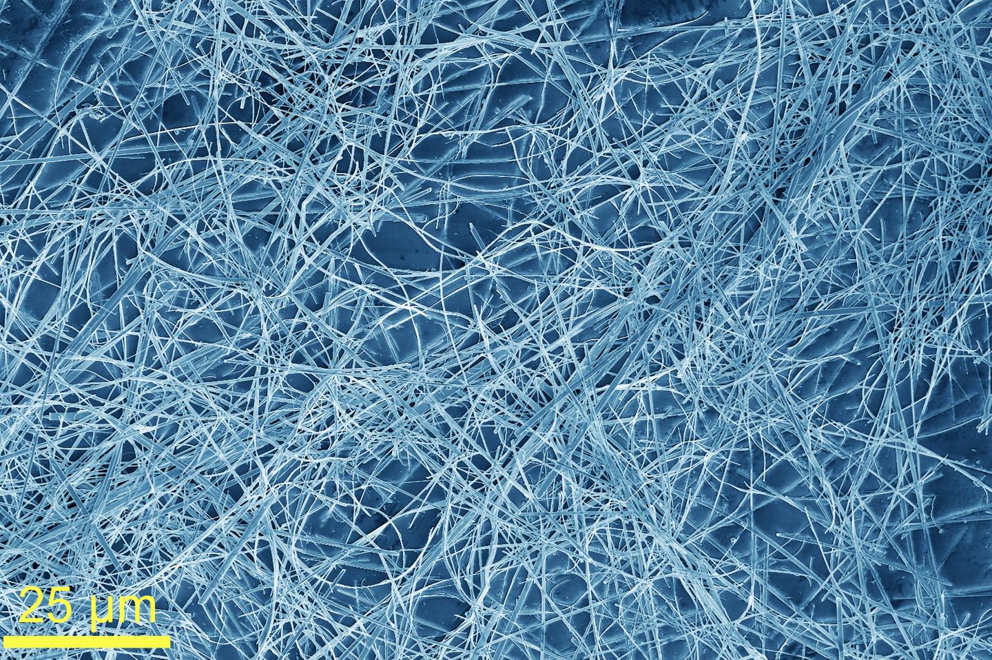 Quasi-1D TaSe3 nanowires