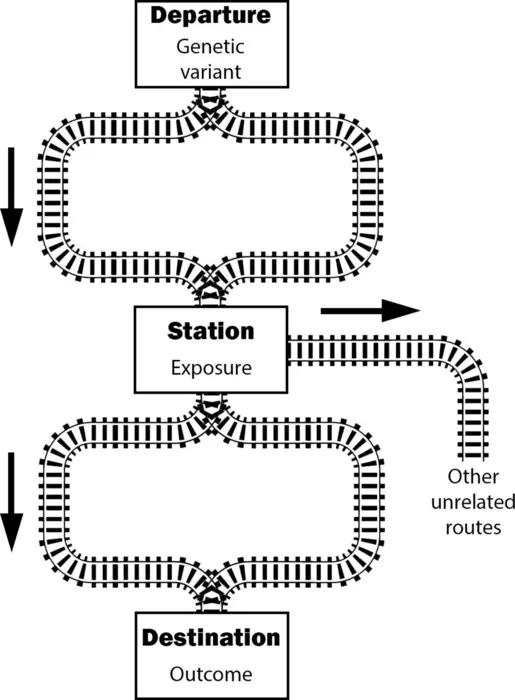 Causal assumptions of Mendelian randomisation illustrated as a railway network.