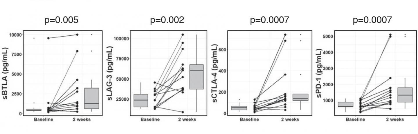 Profiling of sBTLA, sLAG-3, sCTLA-4 and sPD-1 Levels