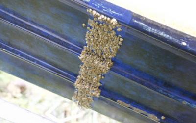 Hull of a Planing Boat