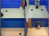 Sensing Sociality in Dogs: What May Make An Interactive Robot Social?
