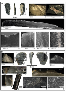 Examples of use wear on lithics and residues on hafted pieces