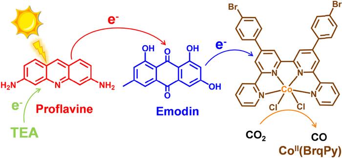 PHOTOCATALYTIC CO2 REDUCTION IN DMF/H2O SOLUTION CONTAINING PROFLAVINE, EMODIN, AND COII(BRQPY).