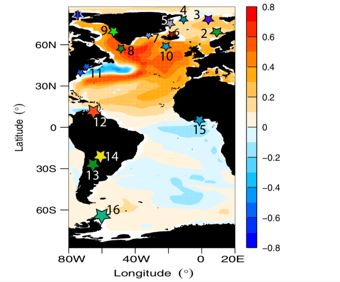 AMOC marine surface temperature fingerprint.