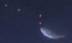 Stickleback approaching a virtual prey to attack.