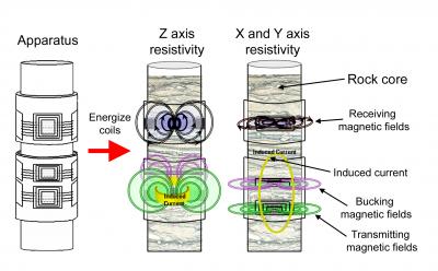 Directionality of the Coil-generated Magnetic Fields