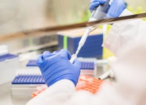 Scientist using pipettes under the hood in a laboratory setting