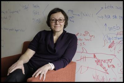 Paola Arlotta, Harvard