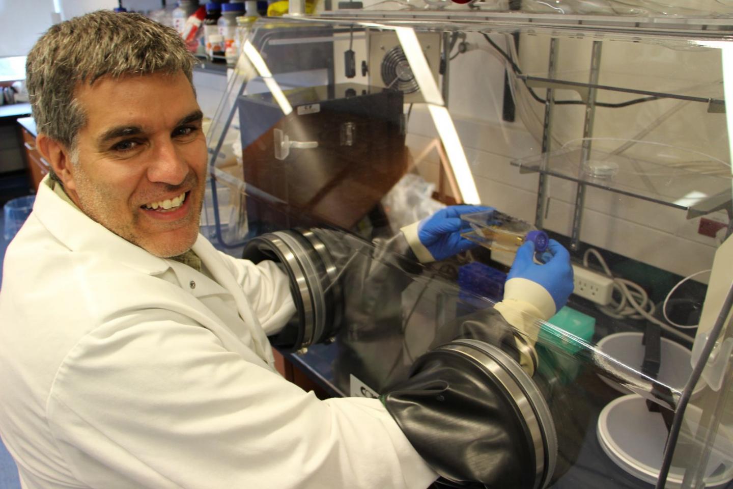 Byram Bridle, University of Guelph