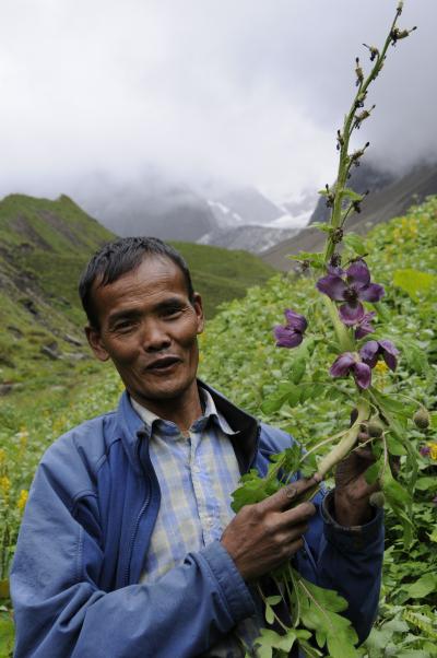 Nepalese Sherpa Guide in the Manaslu Region of Central Nepal