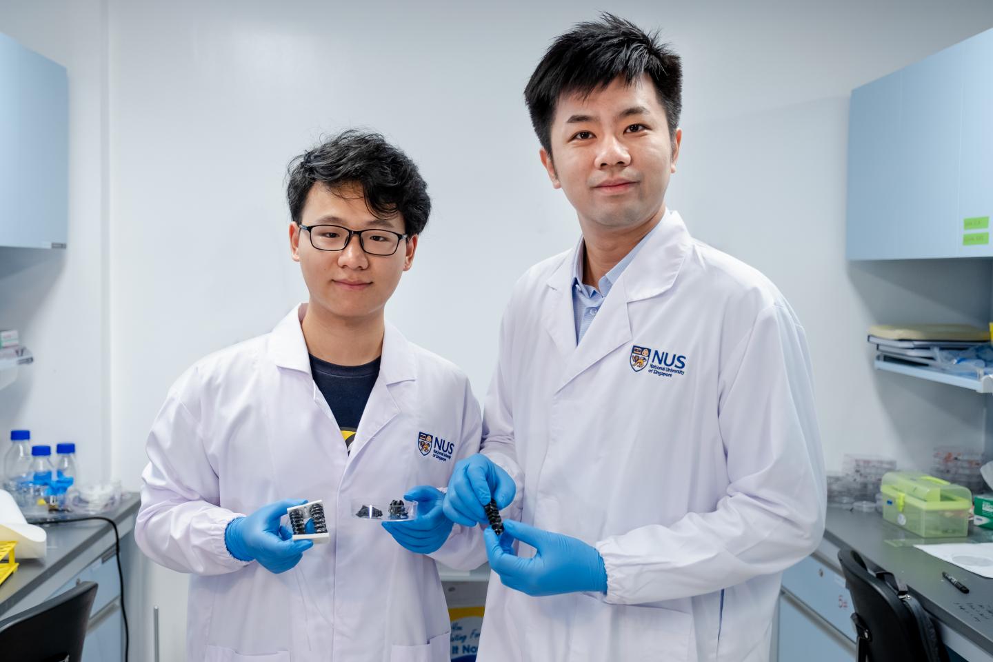 NUS Researchers Create New Metallic Material for Flexible Soft Robots