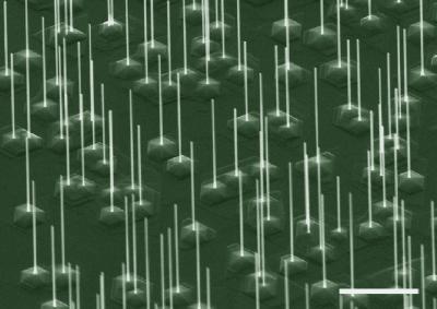 InAs Nanowires