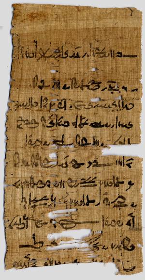 Papyrus Fragment from Tebtunis