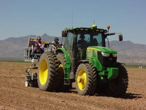 Researchers planting corn seed