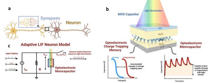 Figure 1| Neuromorphic systems based on the structure of biological neurons.