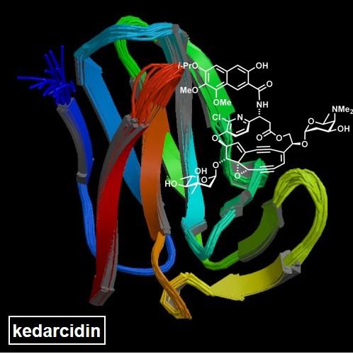 Kedarcidin Chromoprotein