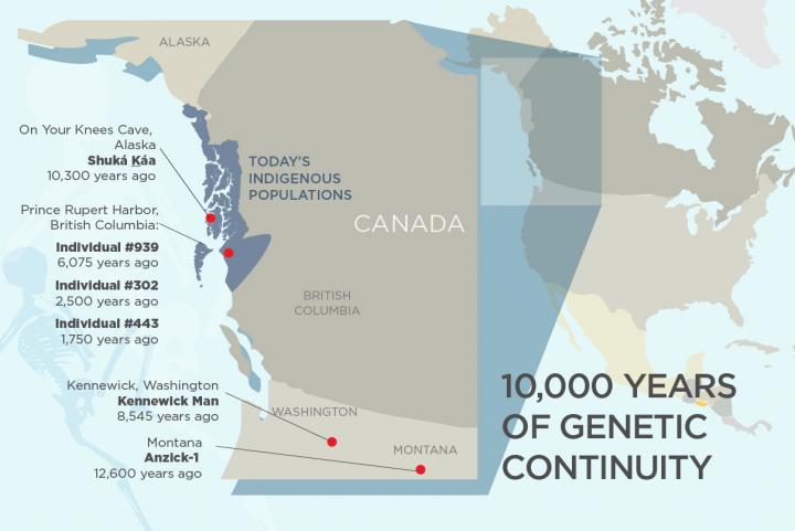 Ancient Individuals Are the Ancestors of Present-Day Indigenous Groups in Northwest North America