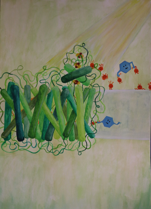 Photosynthesis ‘hack’ could lead to new ways of generating renewable energy