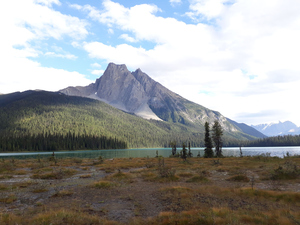 Lakes are changing worldwide