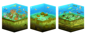 Reconstructed sea bed scenes