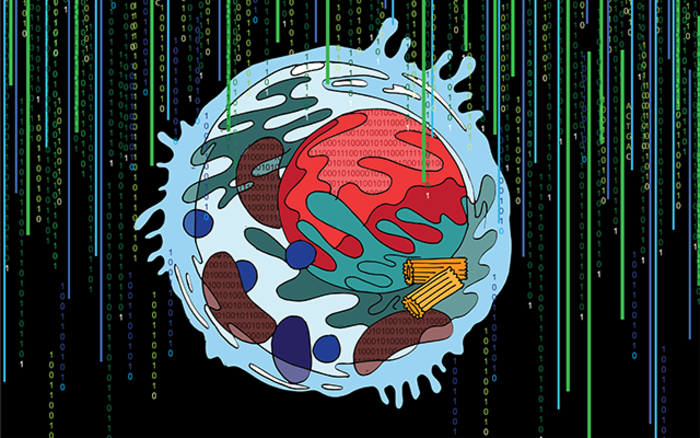 Multi-Scale Integrated Cell (MuSIC)