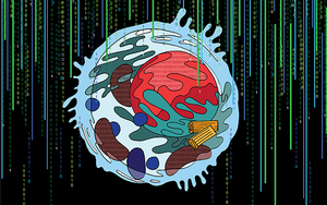 Multi-Scale Integrated Cell (MuSIC)