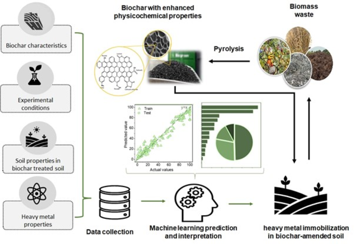 Biochar mitigates bioavailability and environmental risks of