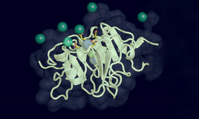 How a Single Protein Could Unlock Age-Related Vision Loss