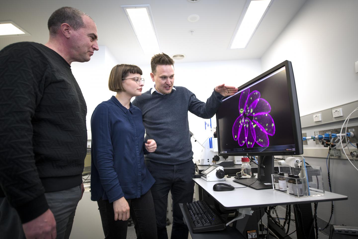 Toxoplasmosis Researchers