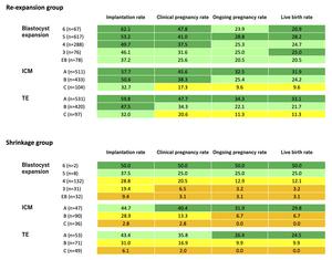 Assisted reproductive technology outcomes of blastocyst re-expansion and shrinkage for each morphological scoring system