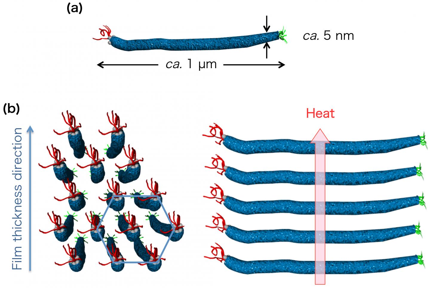 Schematic Representations