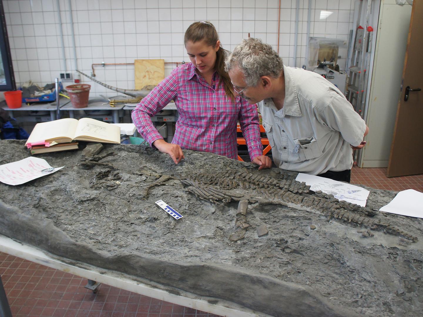 Tanja Wintrich and Martin Sander, University of Bonn