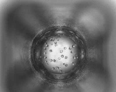 Protein Crystal Image