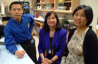 Drs.Yanbin Dong, Martha Tingen and Haidong Zhu