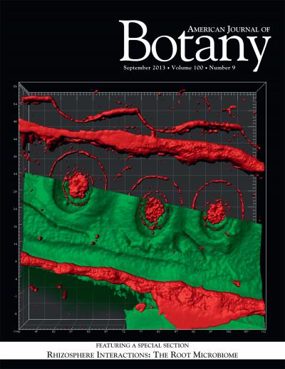 <i>American Journal of Botany</i> Rhizosphere Interactions Special Section