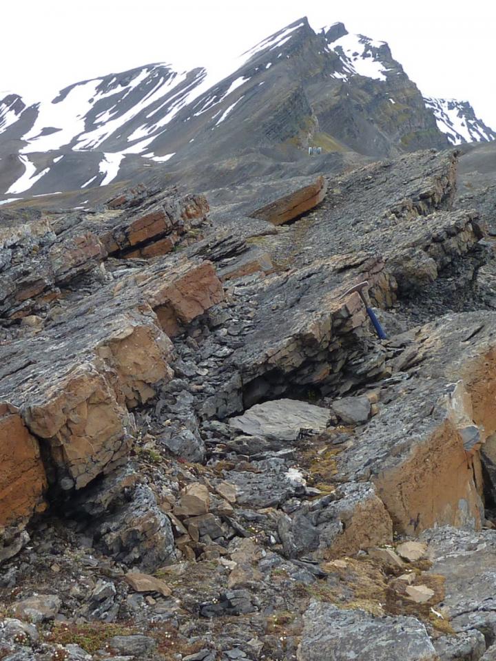 The Kapp Starostin Formation, Festningen Section, Spitsbergen