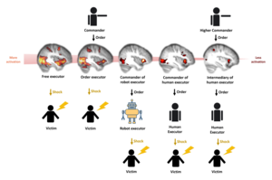 Activation of empathy related brain regions