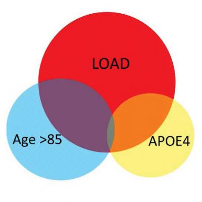 Diagram Brain Gene Expression Changes