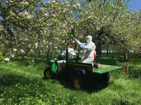 Researchers applying probiotic sprays