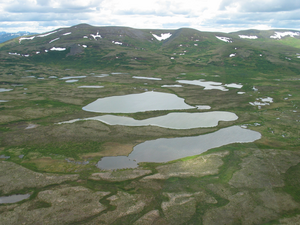 wetlands